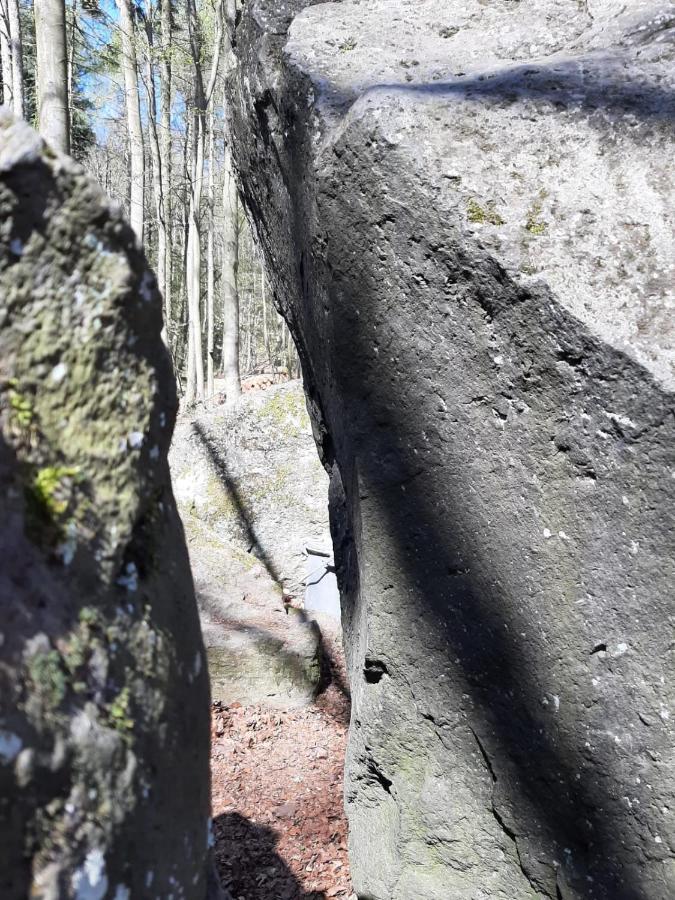 Ferienwohnung Am Vulkanpfad Ettringen  Esterno foto